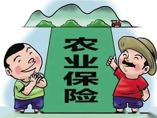 伊犁州福彩中心开展2024“福彩有爱走进巩留县儿童福利院”爱心捐赠公益活动(图4)