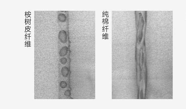 快来更新衣橱舒适清凉童装上新这次我首推它俩！(图17)