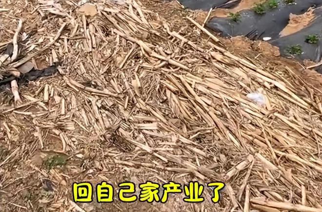 九游会J9：韩德君回归田园生活！10年老房初心不变日子好了竟然雇俩保安？(图4)
