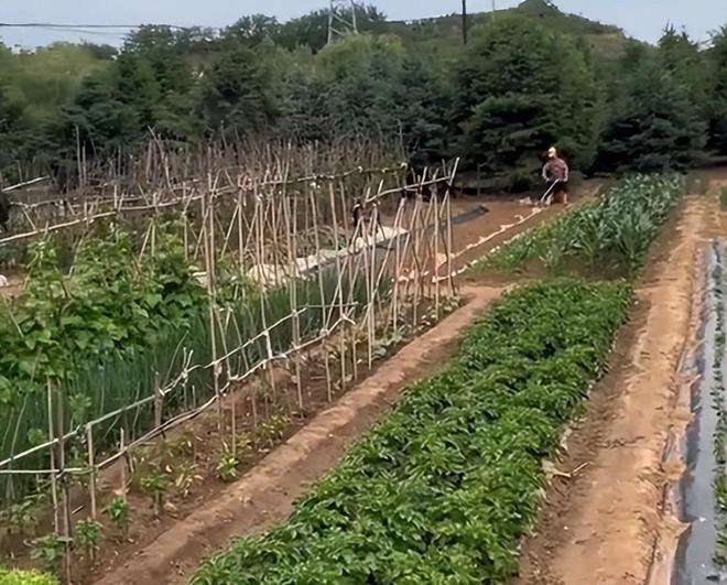 九游会J9：韩德君回归田园生活！10年老房初心不变日子好了竟然雇俩保安？(图5)