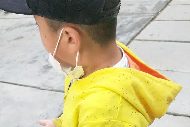 带孩子出趟门回来满身包！最近少穿这颜色的衣服出门太招虫子(图4)