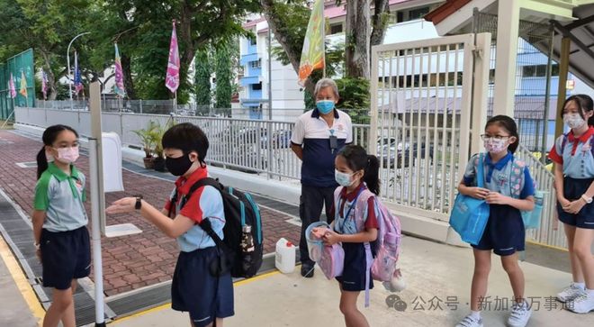 九游会J9：新加坡养娃真要命？！(图9)