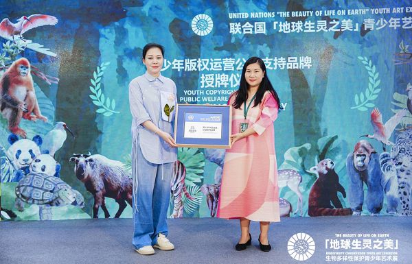 童装品牌男生女生助力“梦想之光”让孩子的画闪耀联合国(图3)