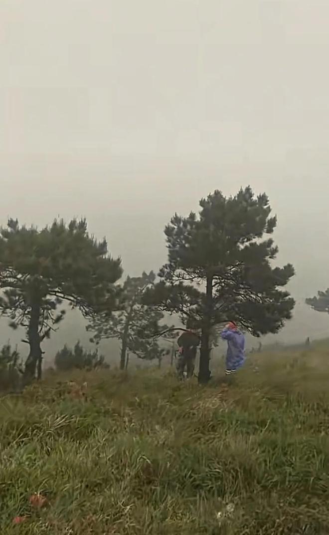 8岁男童失联4天后续：知情人爆料：在小巷子里见过确定就是他！(图5)