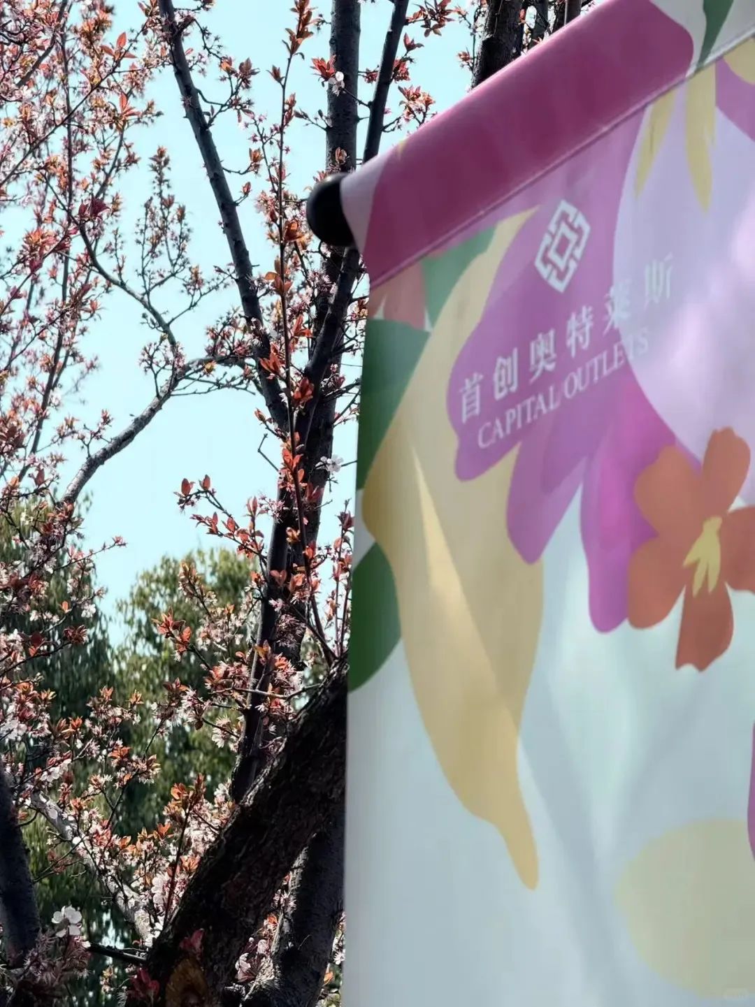 上海佛罗伦萨小镇三期来了；京东奥莱七店齐开；昆山首创奥莱30+品牌卖爆OutletsWeekly(图1)